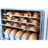 Печь конвекционная ABAT (АБАТ) КЭП-10П 11000026897 Печь конвекционная ABAT (АБАТ) КЭП-10П 11000026897
